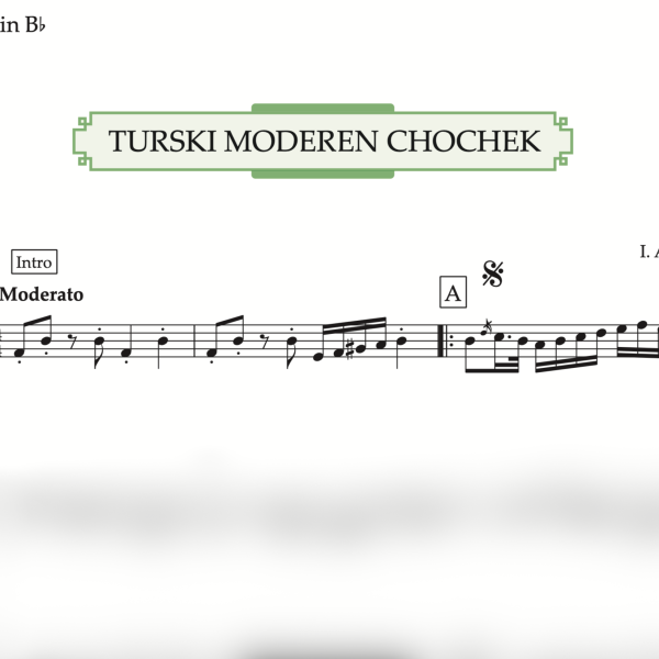 TURSKI MODEREN CHOCHEK